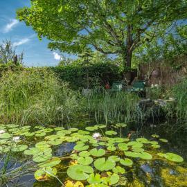 Gartenteich mit Sitzecke